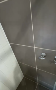 shower regrout2